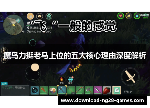 魔鸟力挺老马上位的五大核心理由深度解析 魔鸟力挺老马上位的五大核心理由深度解析