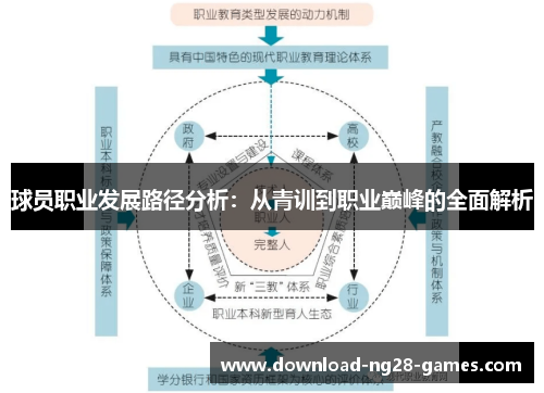 球员职业发展路径分析：从青训到职业巅峰的全面解析